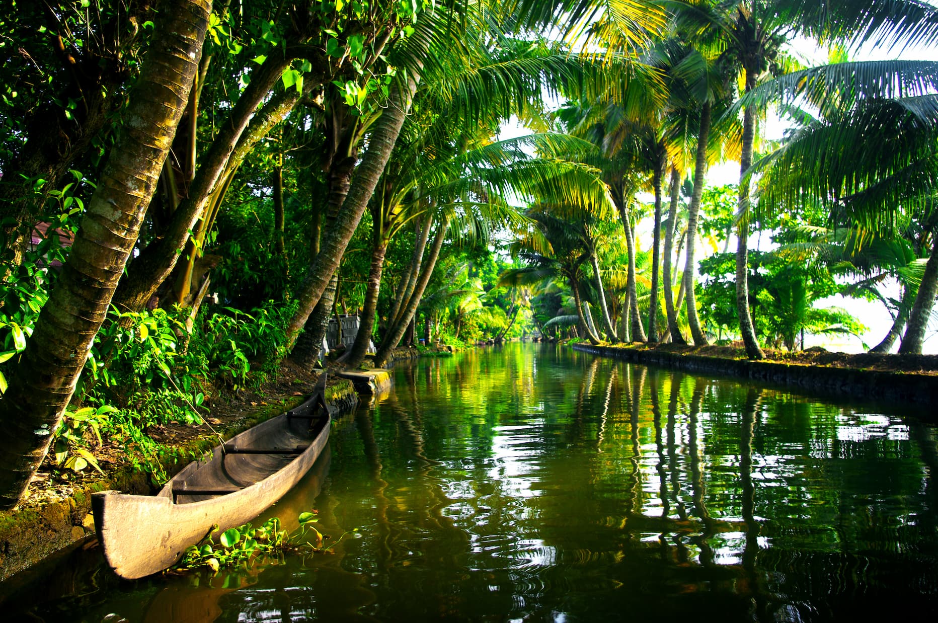 Ayurvedic Retreat — Kumarakom