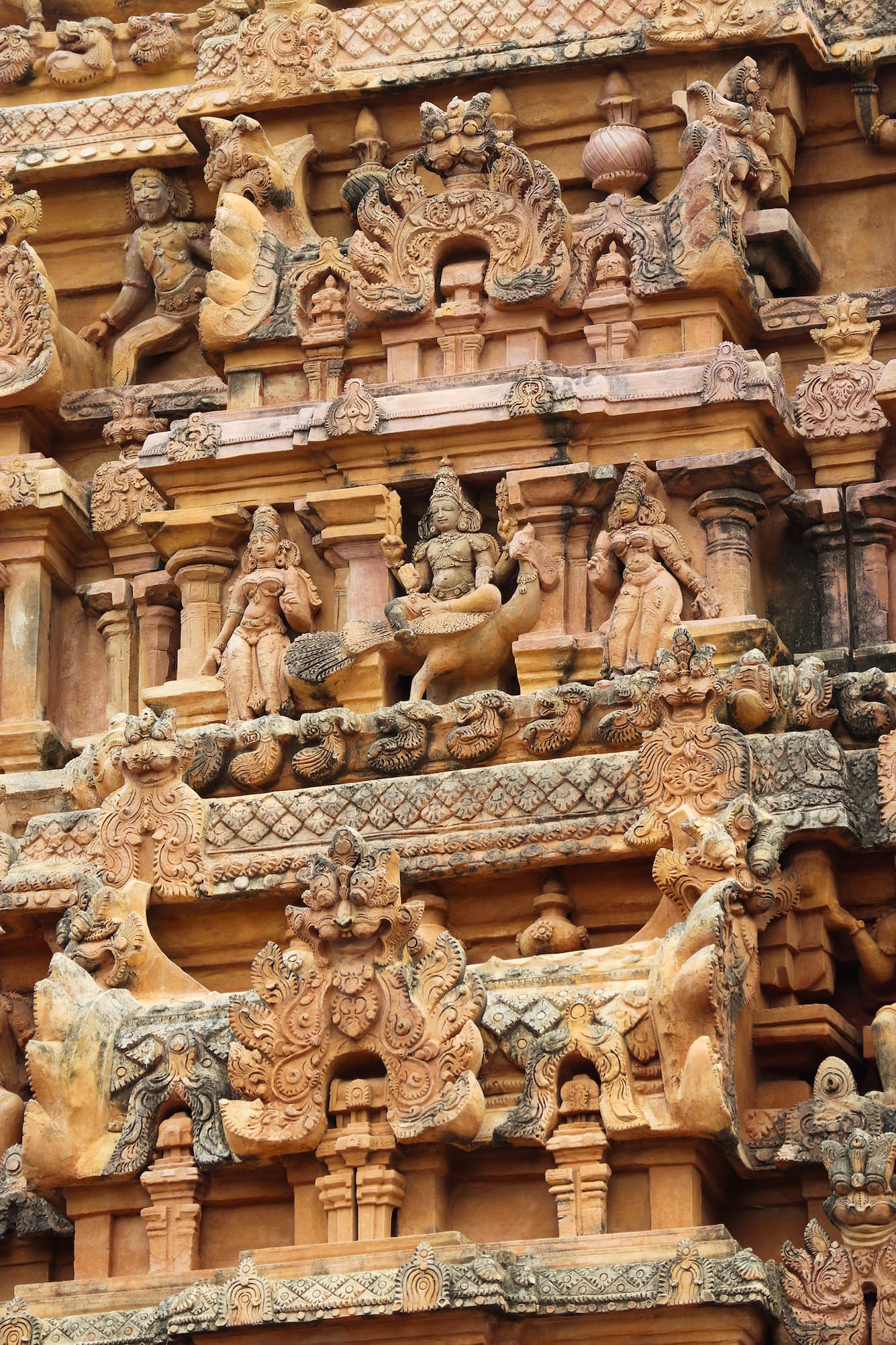Intricate stone carvings on the Brihadeeswarar Temple gopuram in Thanjavur showing Chola-era sculpture and architectural detail